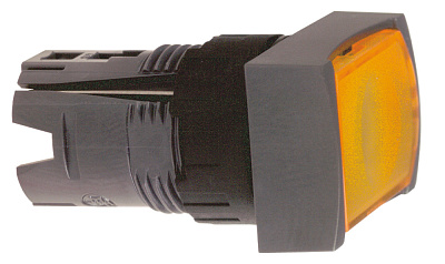 ZB6Y005