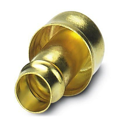 WP-SC BRASS WP PVC 10