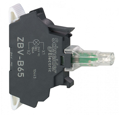 ZBVB65