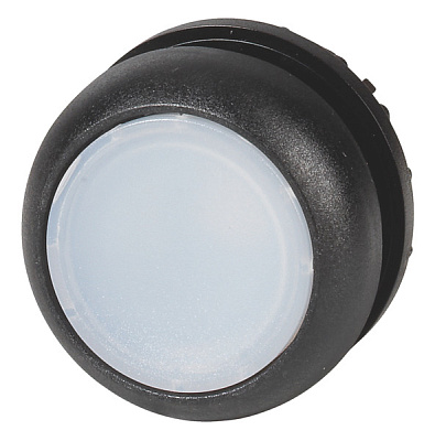 M22S-DRL-W