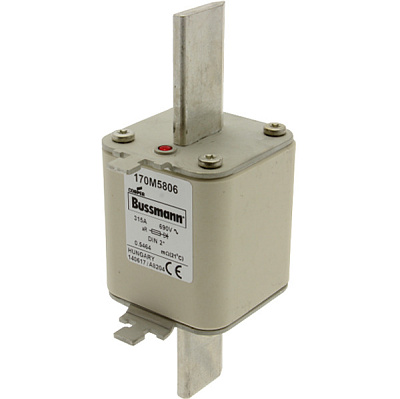FUSE 315A 690V DIN 2* AR
