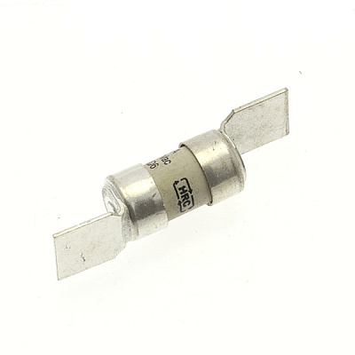 6A 240V AC INDUSTRIAL FUSE