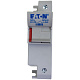 1P 22x58  Micro Switch Fuse Holder