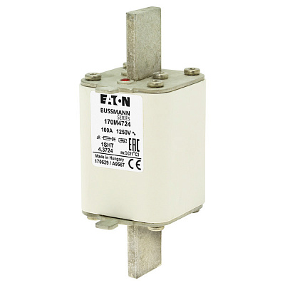 FUSE 100A 1250V 1SHT AR